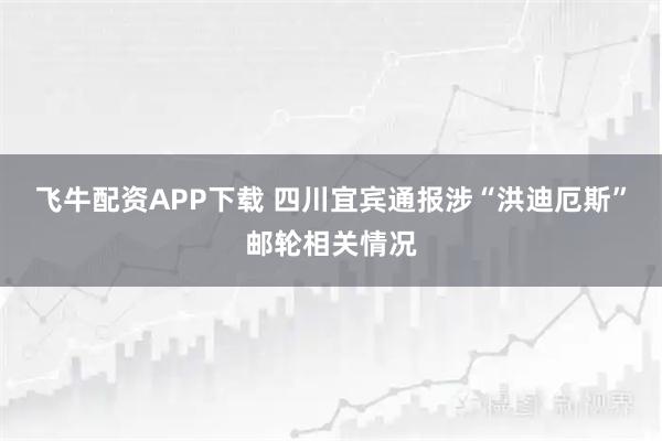 飞牛配资APP下载 四川宜宾通报涉“洪迪厄斯”邮轮相关情况